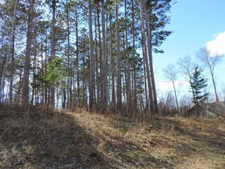 TBD 5th St, Walker, MN 56484