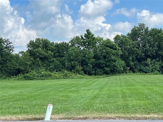 O Kincaid St, Bowling Green, MO 63334