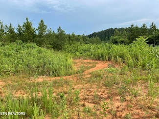 51 Three Point Rd, Vonore, TN 37885