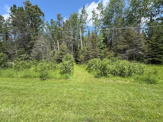 0 S Hill Island Rd, Clark Township, MI 49719
