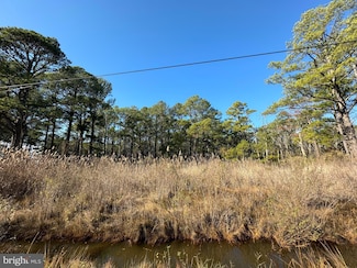 11006 Riley Roberts Rd, Deal Island, MD 21821