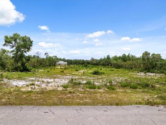 0 Larkspur (Lot 7) Ave Unit MFRO6118344, Eustis, FL 32736