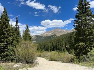 0089 County Road 670, Breckenridge, CO 80424