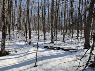 0 Red House Rd, Morse, WI 54546