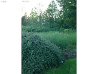 2514 W Main St, Battle Ground, WA 98604
