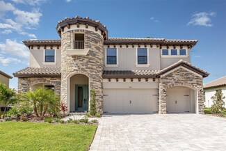 285 Mossy River Ct, Brandon, FL 33511