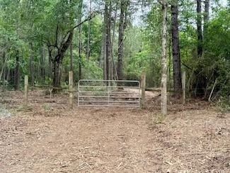 0 Mount Herman Rd, Osyka, MS 39657