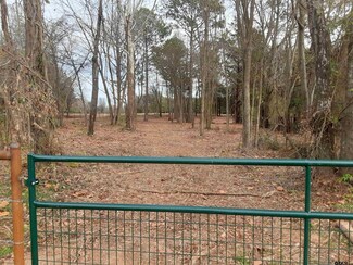 TBD County Road 4700, Winnsboro, TX 75494