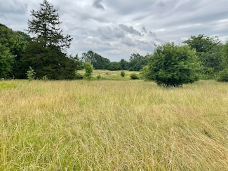 Tbd N Farm Road 71, Center No. 3 Township, MO 65612
