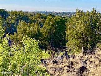 1528, Show Low, AZ 85901