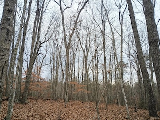 0 Axtell Rd Unit 363502, Scottsville, VA 24590