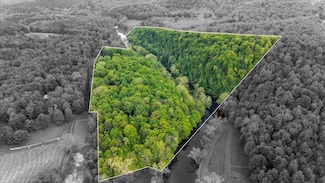 TBD Old Mill Dam Rd, Pearisburg, VA 24134