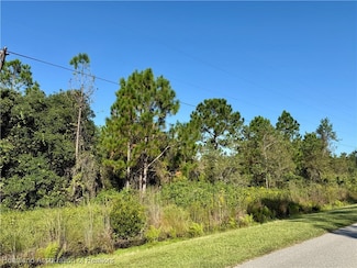 4700 E C Hill Rd, Avon Park, FL 33825