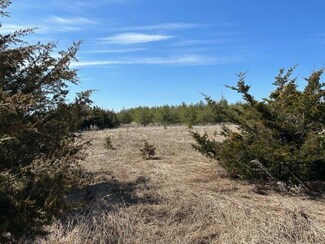 XXX 187th St, Grove Lake Township, MN 56334