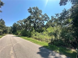 8005 Alabama St, Citronelle, AL 36522