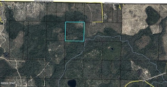 00 NW Camp Head Rd, Altha, FL 32421
