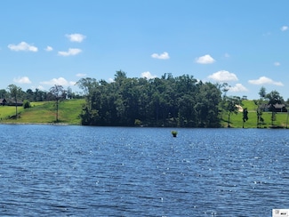 Lot 6 North Point, Downsville, LA 71234