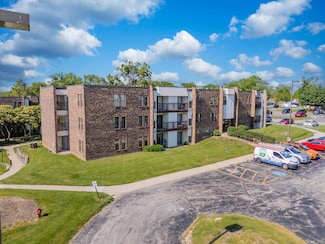 2222 Country Club Dr Unit 11, Woodridge, IL 60517