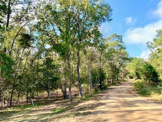 4.6 ACRES County Road 2310, Woodville, TX 75979