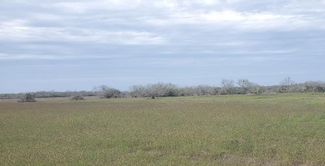 Lot 6 T-Head Dr, Riviera, TX 78379