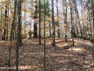 487 Antone Mountain Rd, Hadley, NY 12822