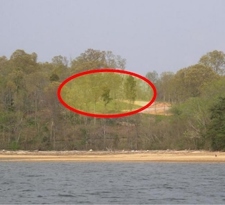 383 Thief Neck View Dr, Rockwood, TN 37854