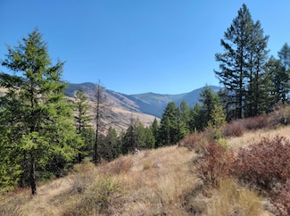 TBD Lone Ranch Creek Rd, Danville, WA 99121