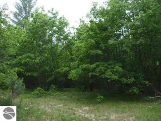 0 Schemp Rd, Lupton, MI 48635