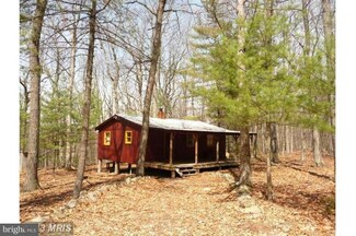 182 Pine Dr, Mathias, WV 26812