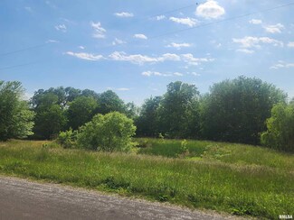 1921 E 1250th St, Mendon, IL 62351