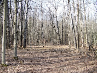 191 W Street Extension, Laurens, NY 13820
