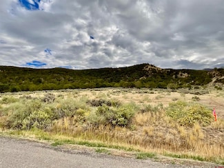 TBD Lot 22 7250 Rd, Montrose, CO 81403