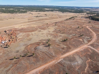 TRACT 17 Dewey Rd Unit Tract 17 Elk Mt Ranc, Custer, SD 57730