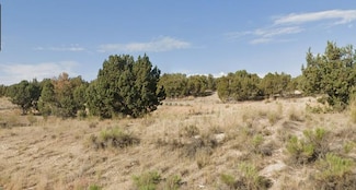 0 Turquoise Ave Unit 23737763, Spring Creek, NV 89815