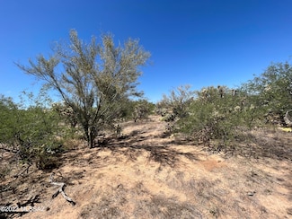 15091 W Many Horses Rd, Three Points, AZ 85736