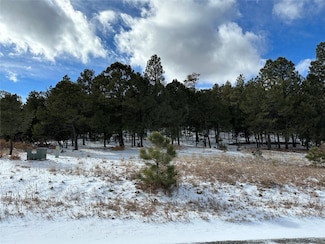3 Colibri Ct, Pecos, NM 87552