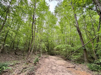 Silerton Rd, Toone, TN 38381