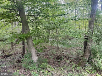 TBD Van Buren Rd, Maurertown, VA 22644