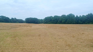 0 Douglas at Douglas Loop Ridge Unit 10175189, Stanton, TN 38069