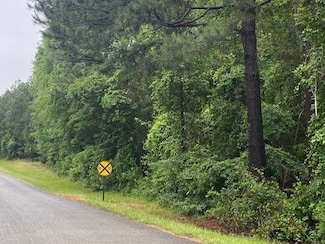 0 Isaac Creek Rd, Homer, LA 71040