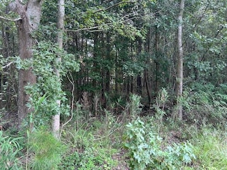 Lot 6 Sheep Island Rd, Summerville, SC 29486