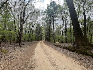 0 Holloman Rd Unit 19006946, Bentonia, MS 39040