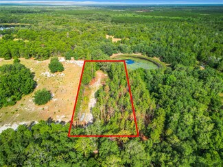 21464 NE 103rd Terrace, Fort Mc Coy, FL 32134