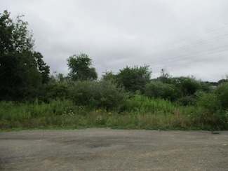 130 Chestnut Dr, Horseheads North, NY 14845