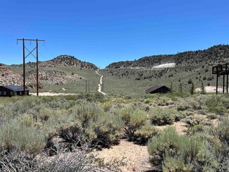 118 Larkspur Ln Unit 12, Crowley Lake, CA 93546