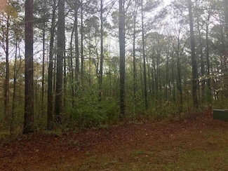 104 Carolyn Dr, Eatonton, GA 31024