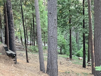 1914 Kit Carson Cir, Arnold, CA 95223