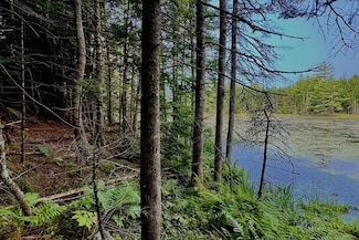 62 Whittier Hwy, Sandwich, NH 03227