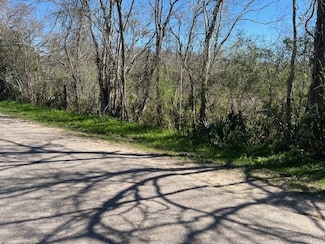 00 Woodland Ln, Old River-Winfree, TX 77535