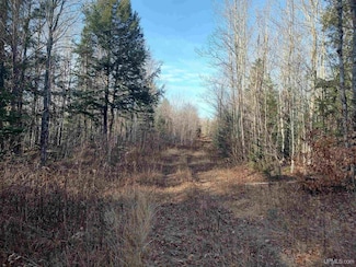 TBD Billie Helmer Rd, Deerton, MI 49822